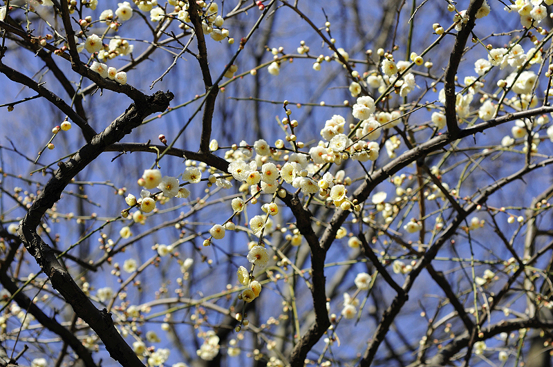 image0133