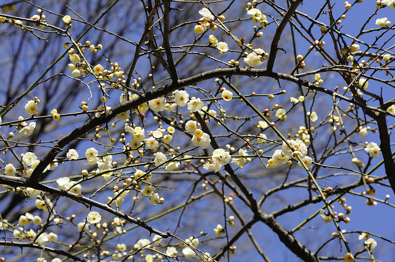 image0134