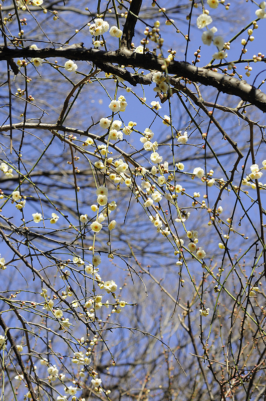 image0135