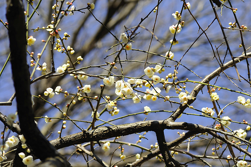 image0136