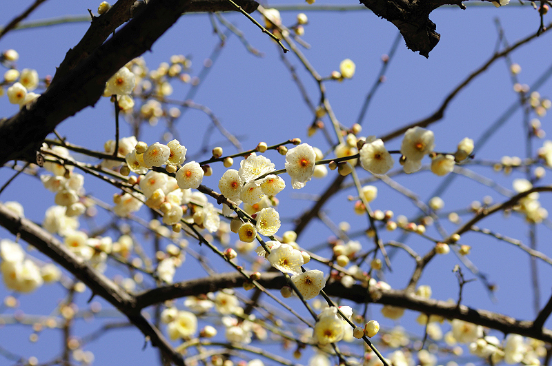 image0137
