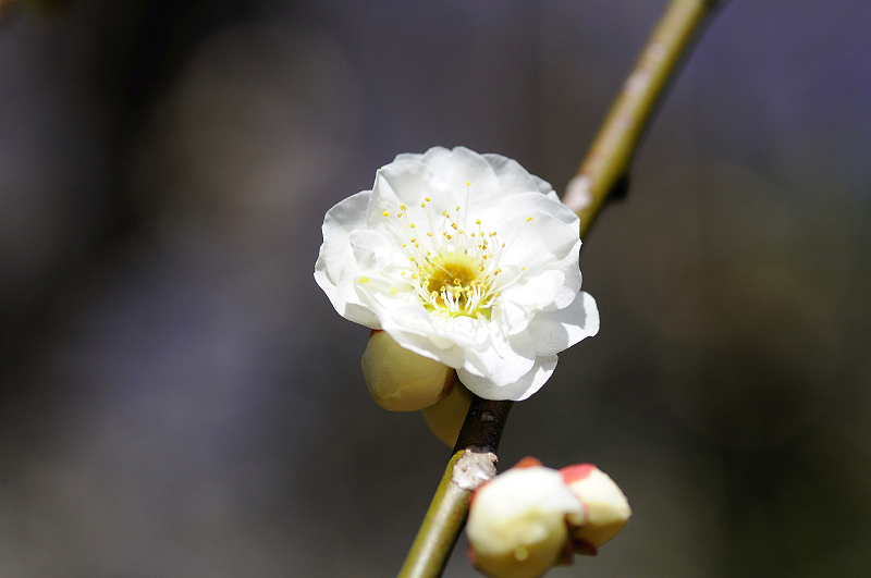 image0141