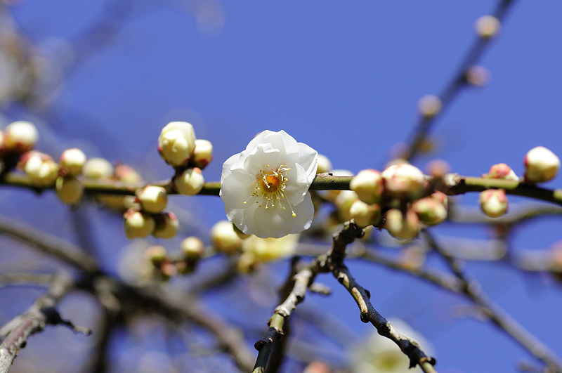image0142