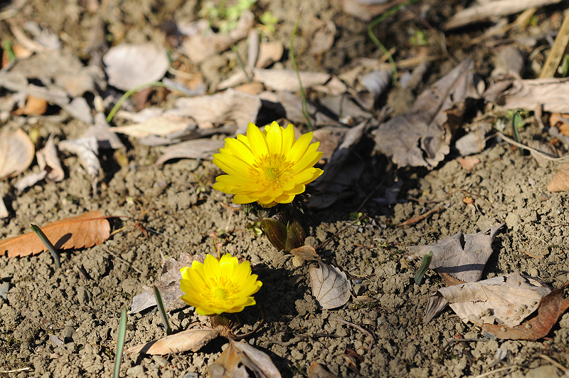 image0143
