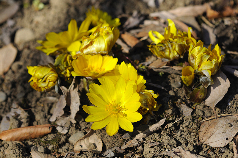 image0144