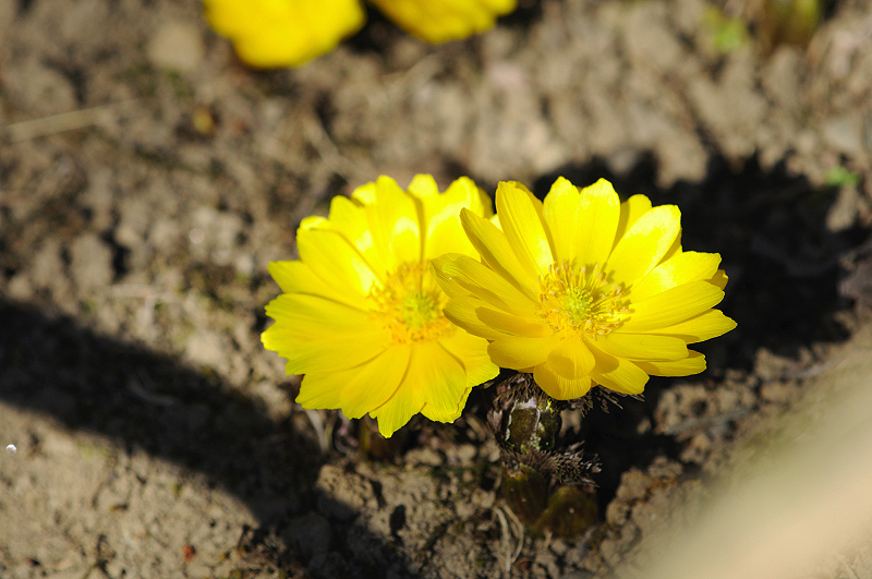 image0145