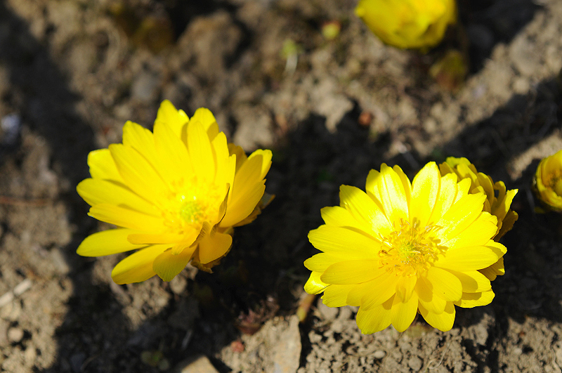 image0146