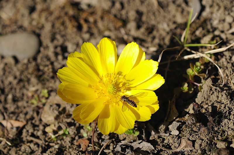 image0148