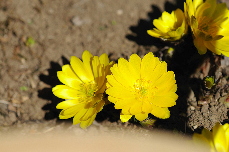 image0149