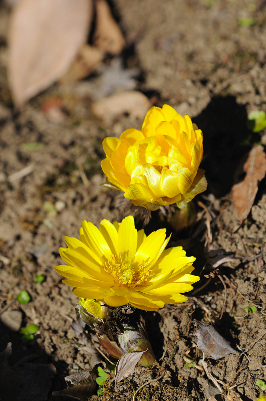 image0150