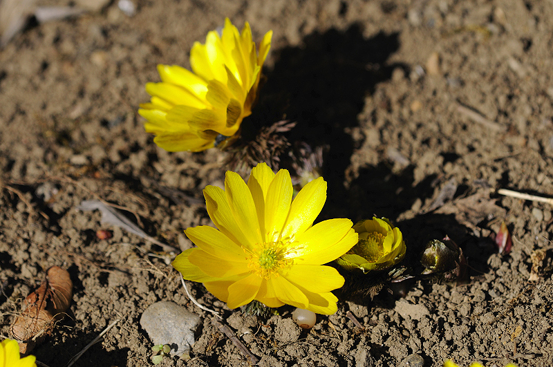 image0153