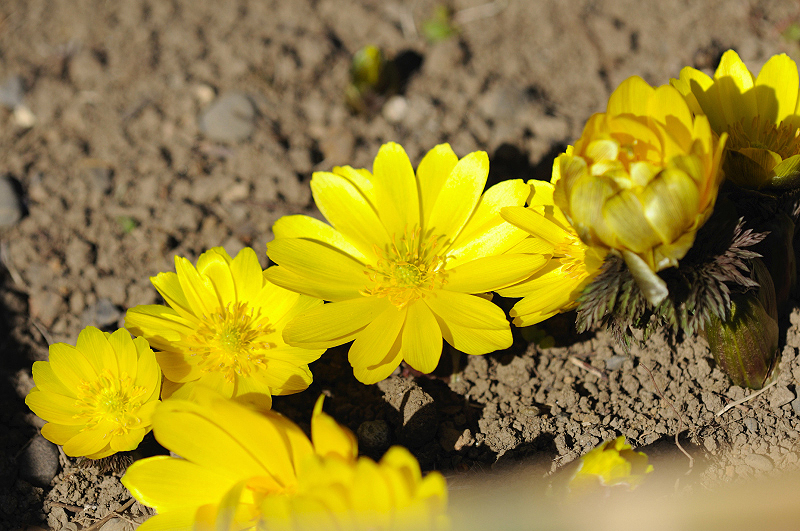 image0154