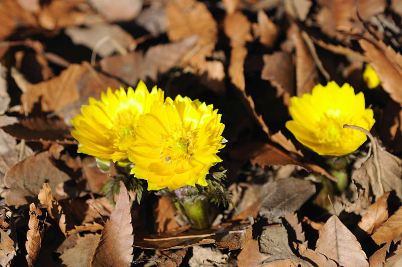image0156