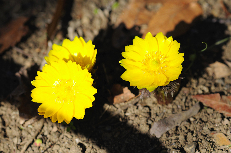 image0157