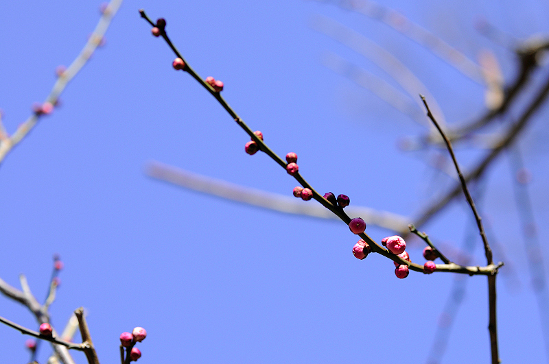 image0159