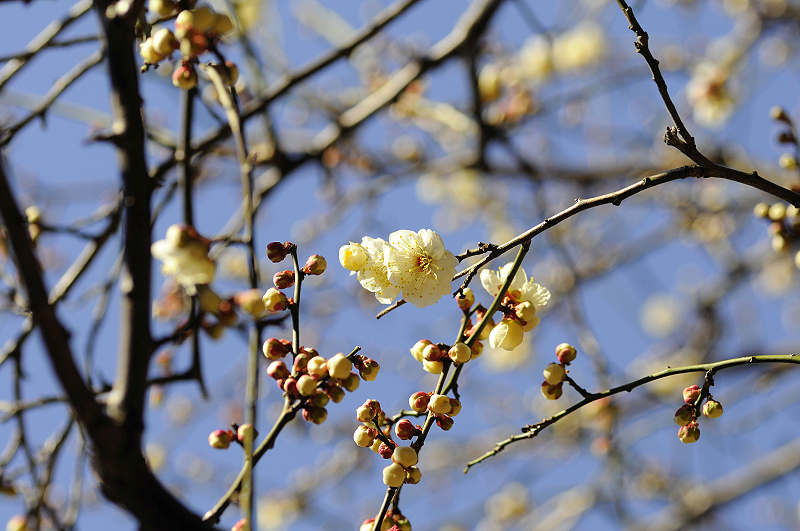 image0160