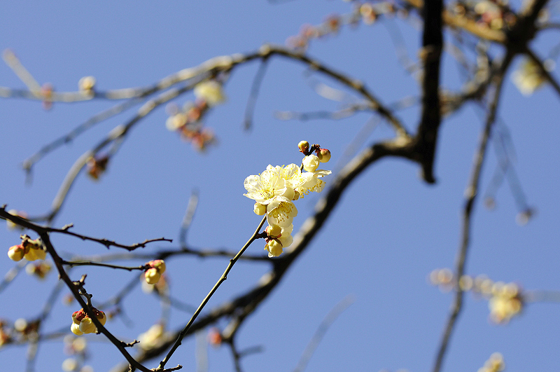 image0161