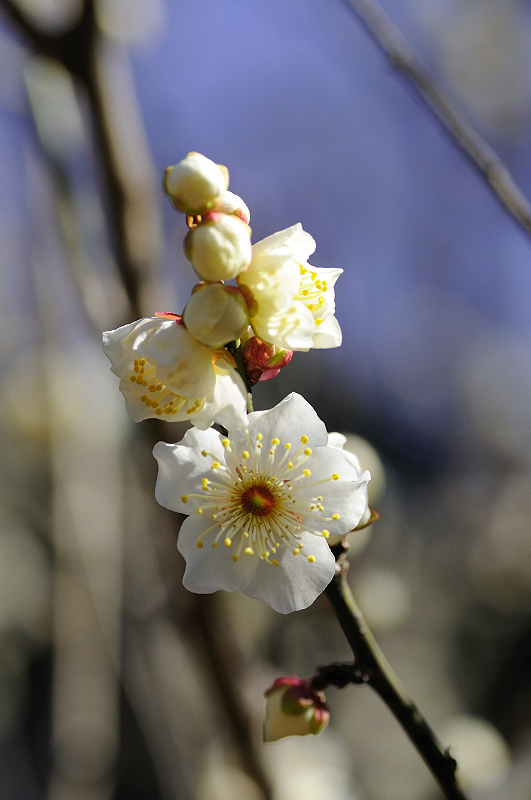 image0162