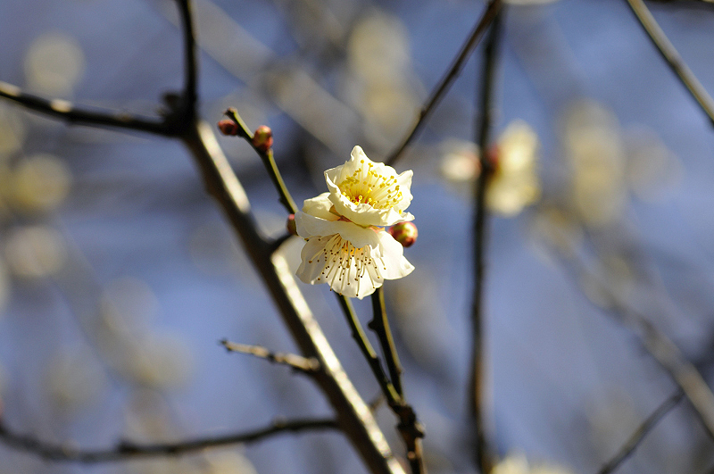 image0163