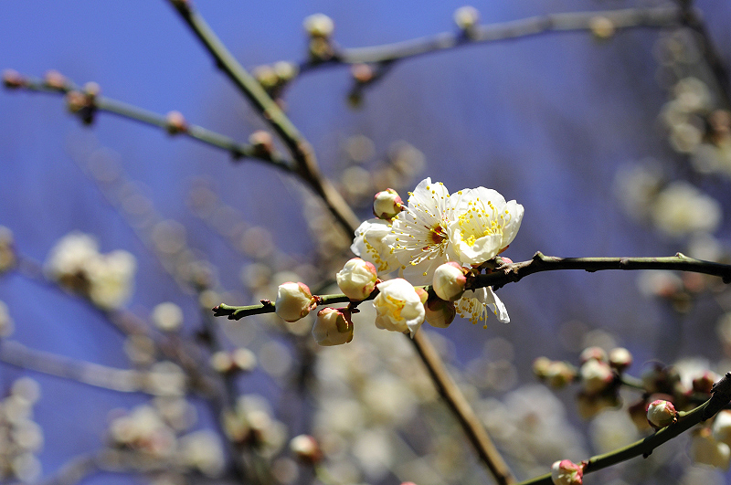 image0173