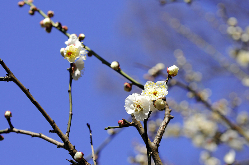 image0176
