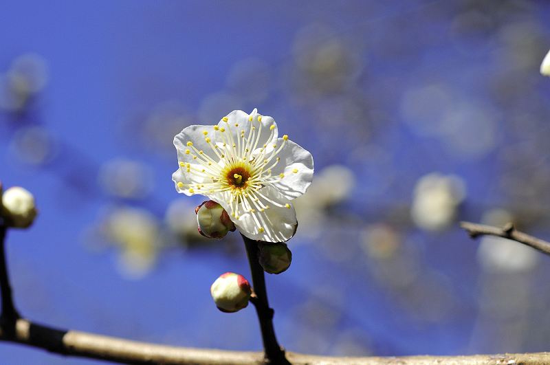 image0180