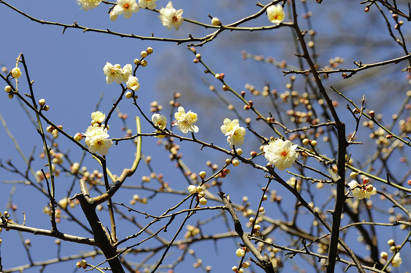 image0182