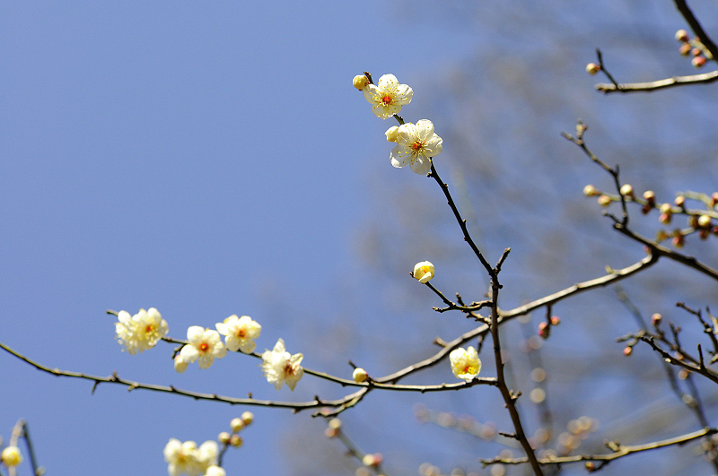 image0183