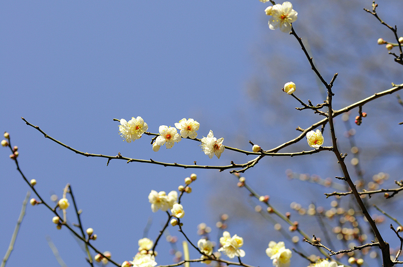 image0184
