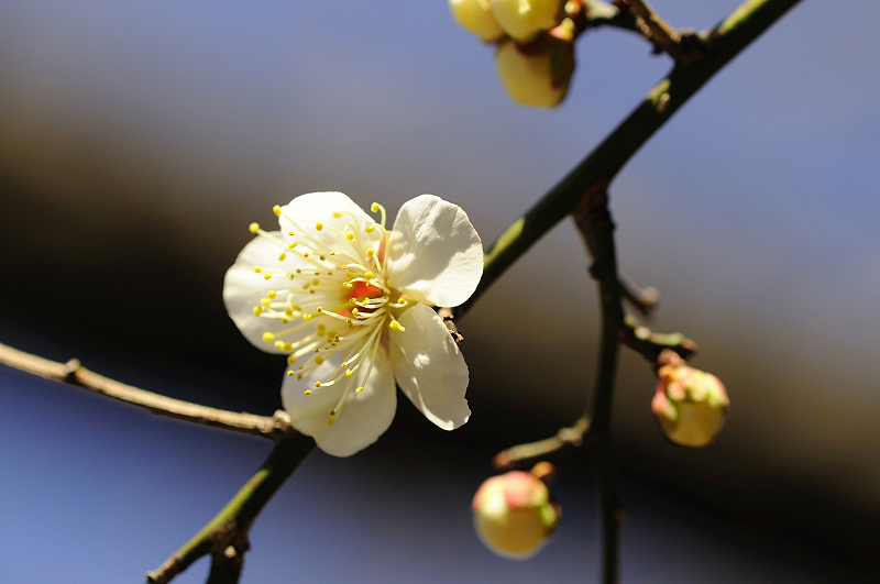 image0186
