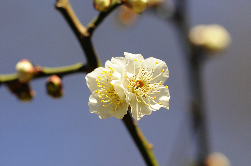 image0187