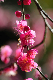 image0098