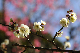 image0101