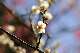 image0102