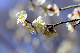 image0106
