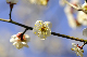 image0107