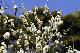 image0109