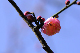 image0116