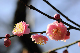 image0117