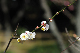 image0119