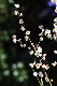 image0120