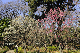 image0126