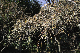 image0127