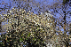 image0128