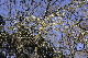 image0129
