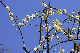 image0131