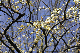 image0133