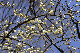 image0134