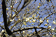 image0136