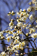 image0139